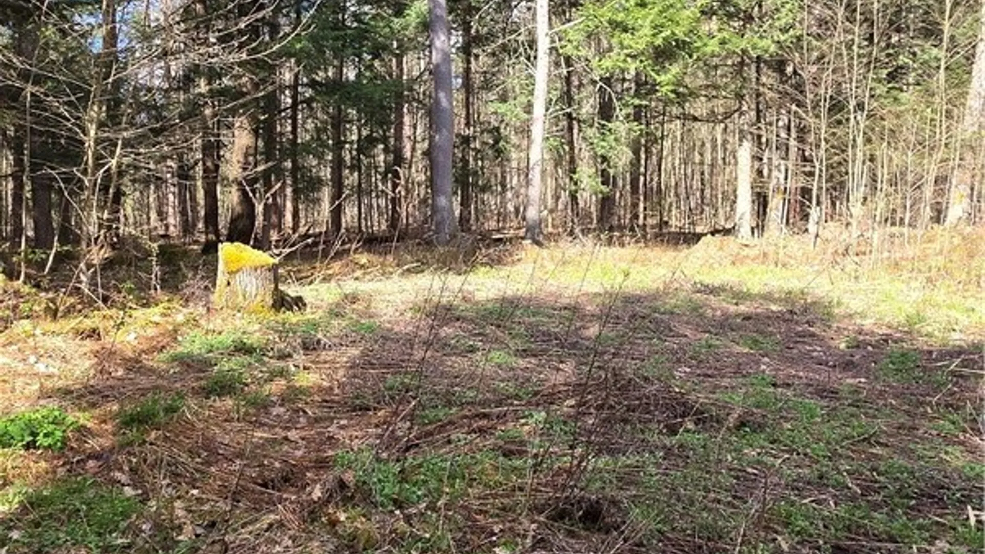 Property at Bliss Gulf Road, Milford, NY 13807 2