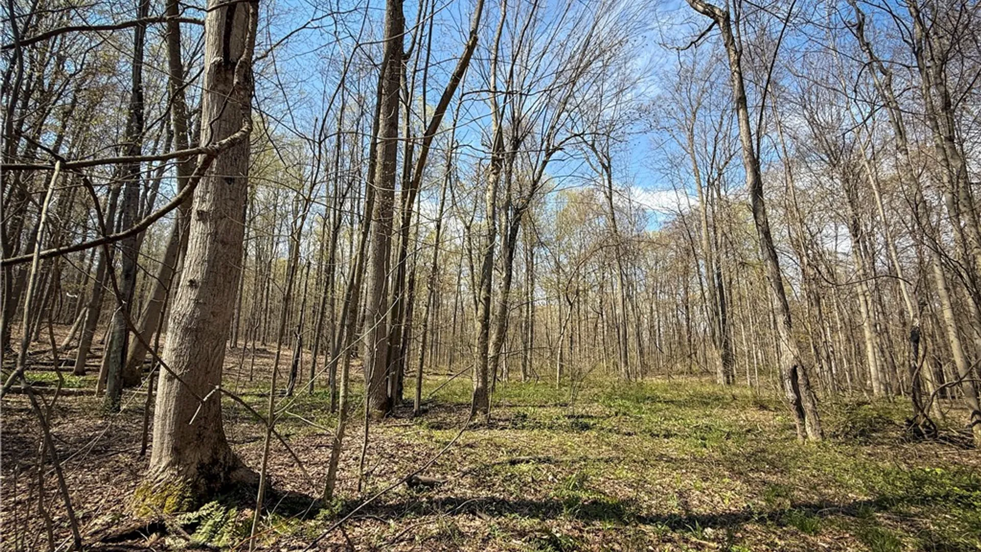 Property at Fintches Corners, Sterling, NY 13156 10