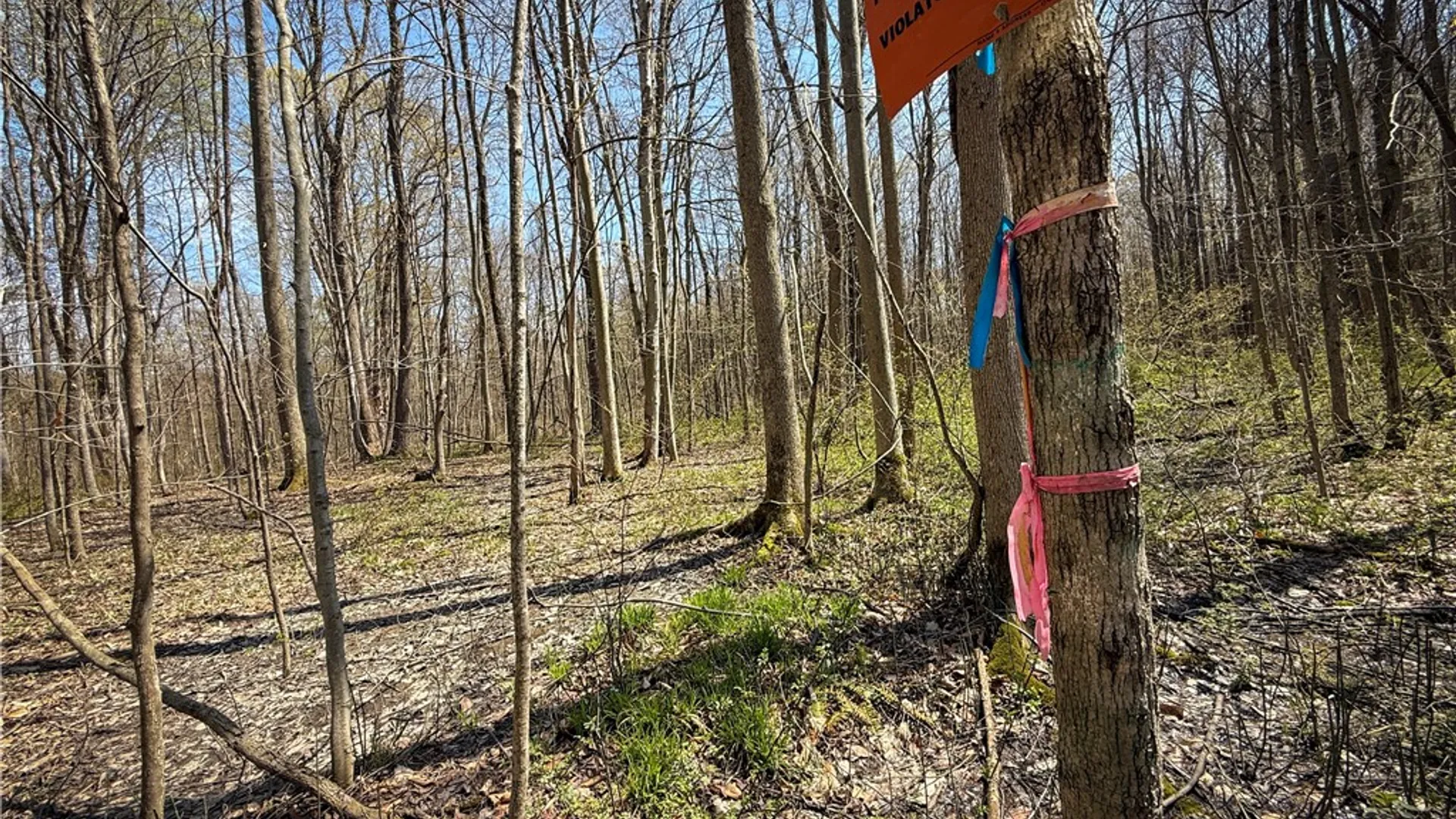 Property at Fintches Corners, Sterling, NY 13156 12