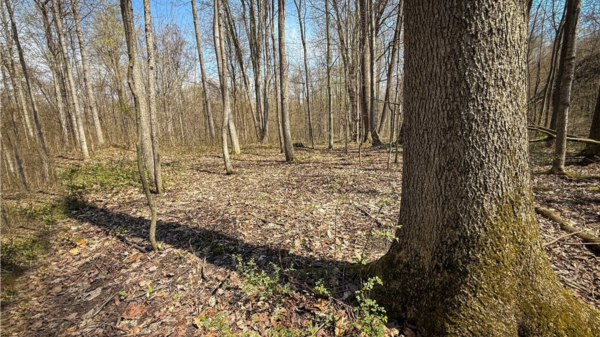 Property at Fintches Corners, Sterling, NY 13156 13