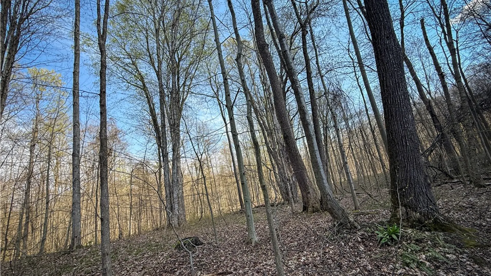 Property at Fintches Corners, Sterling, NY 13156 14