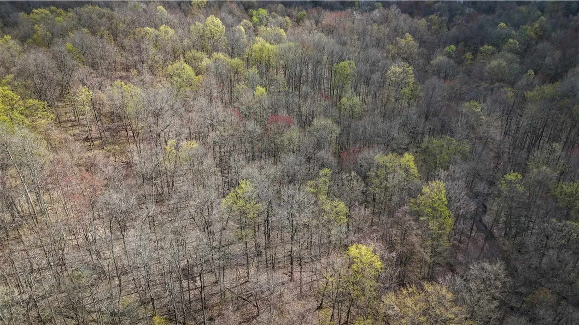 Property at Fintches Corners, Sterling, NY 13156 17