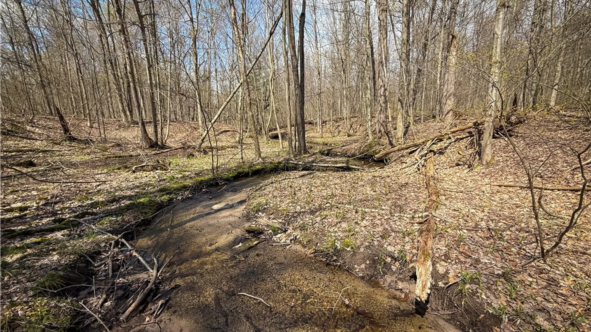 Property at Fintches Corners, Sterling, NY 13156 18
