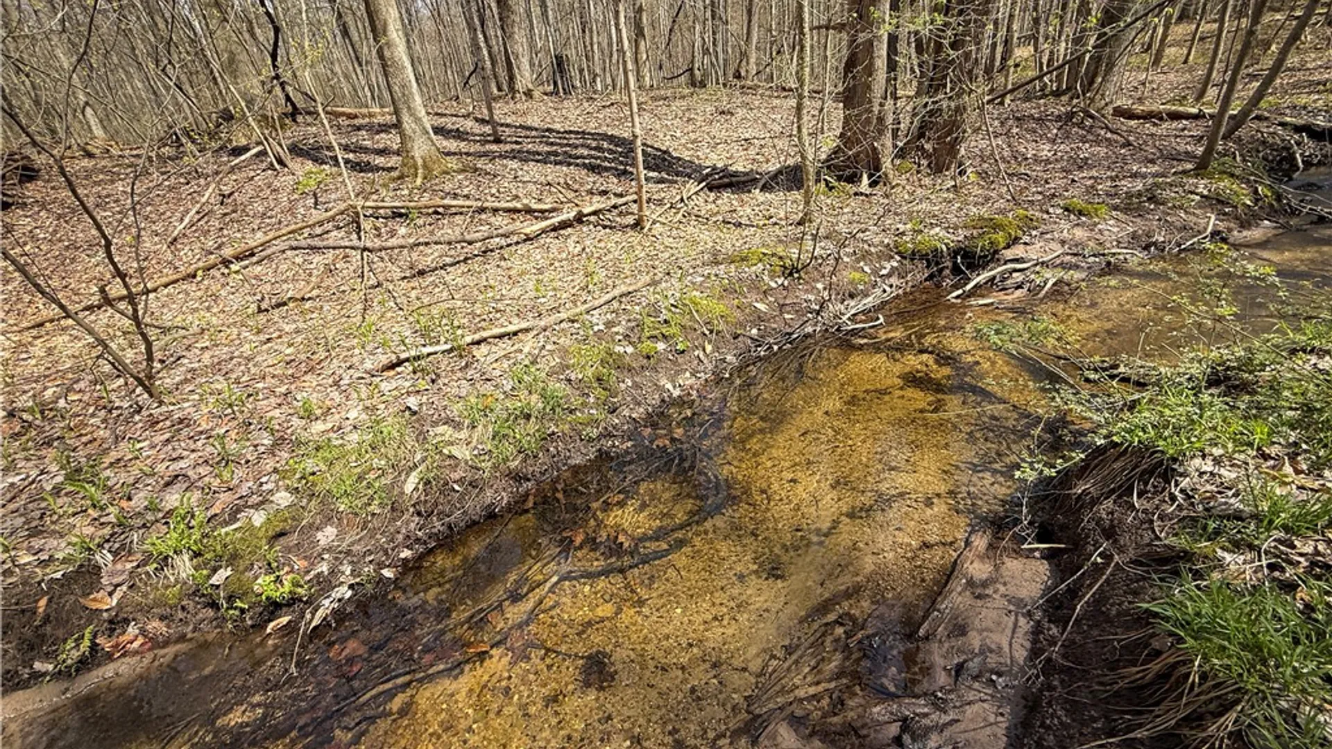 Property at Fintches Corners, Sterling, NY 13156 19