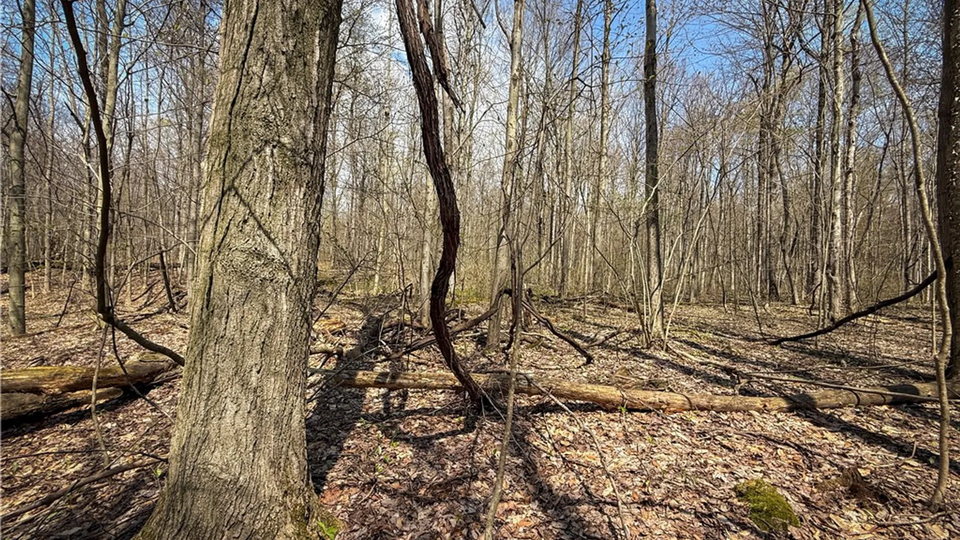 Property at Fintches Corners, Sterling, NY 13156 20