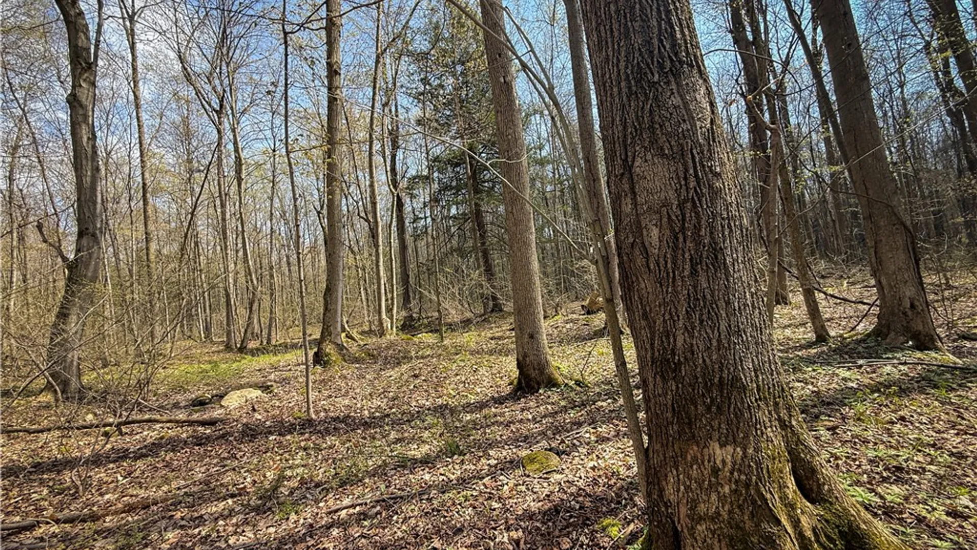 Property at Fintches Corners, Sterling, NY 13156 22