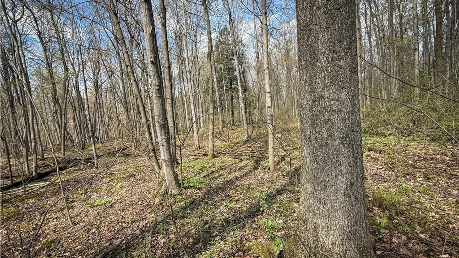 Property at Fintches Corners, Sterling, NY 13156 26