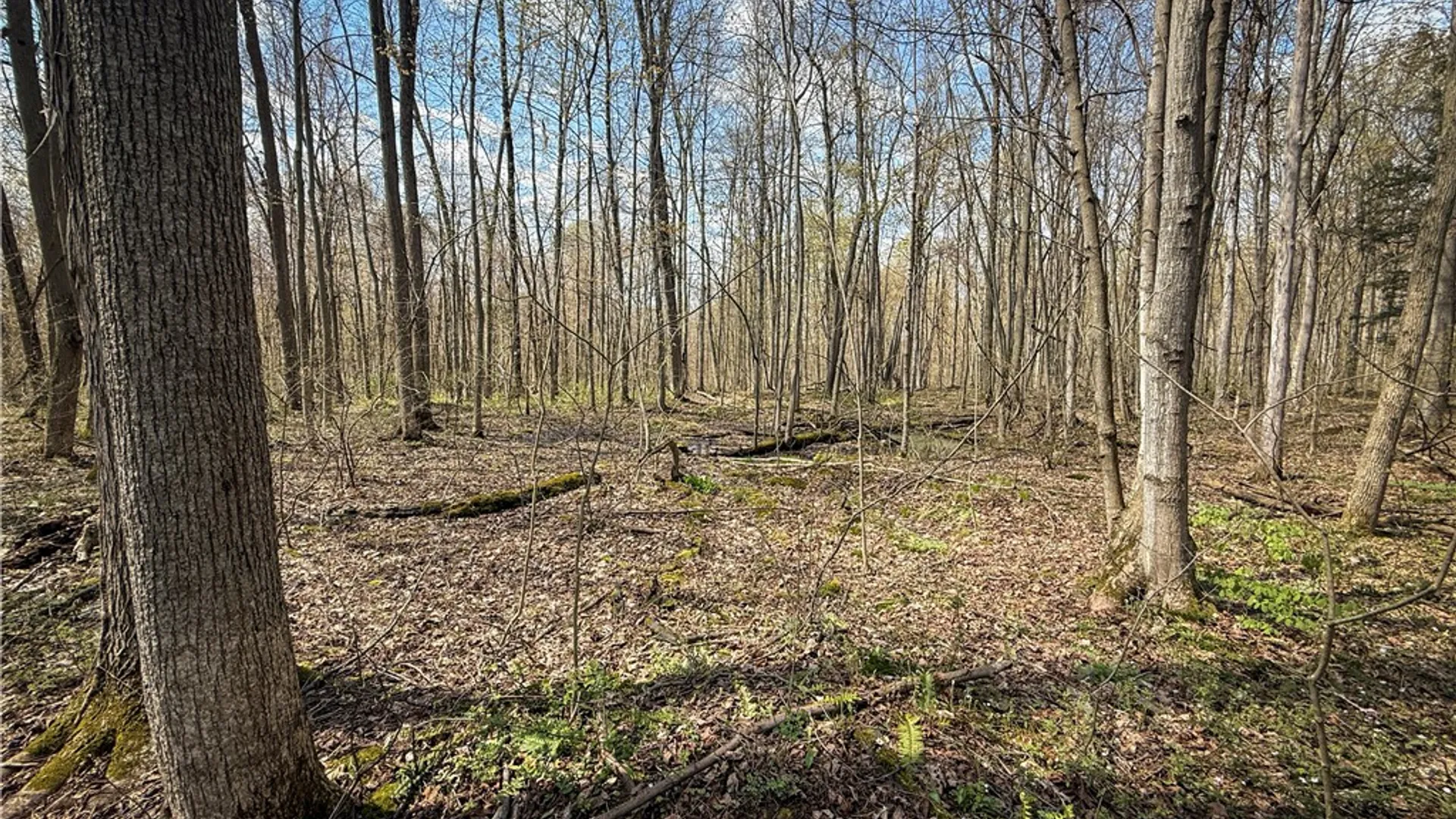 Property at Fintches Corners, Sterling, NY 13156 27