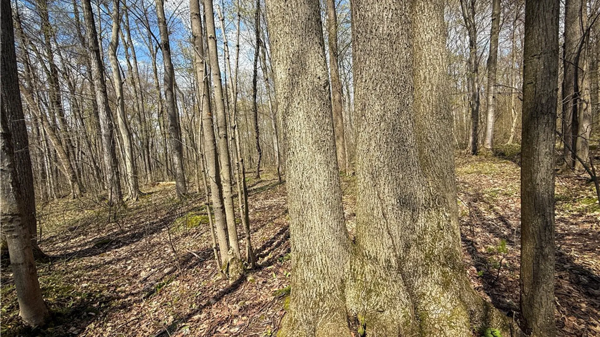 Property at Fintches Corners, Sterling, NY 13156 28