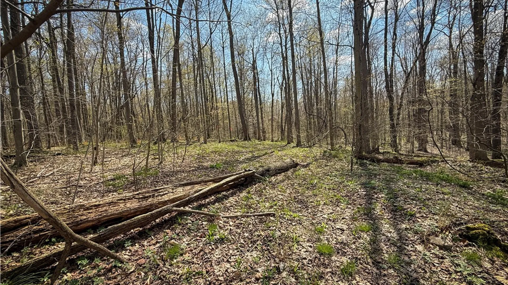 Property at Fintches Corners, Sterling, NY 13156 31