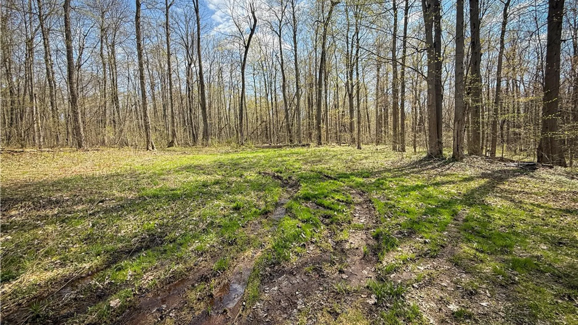 Property at Fintches Corners, Sterling, NY 13156 32