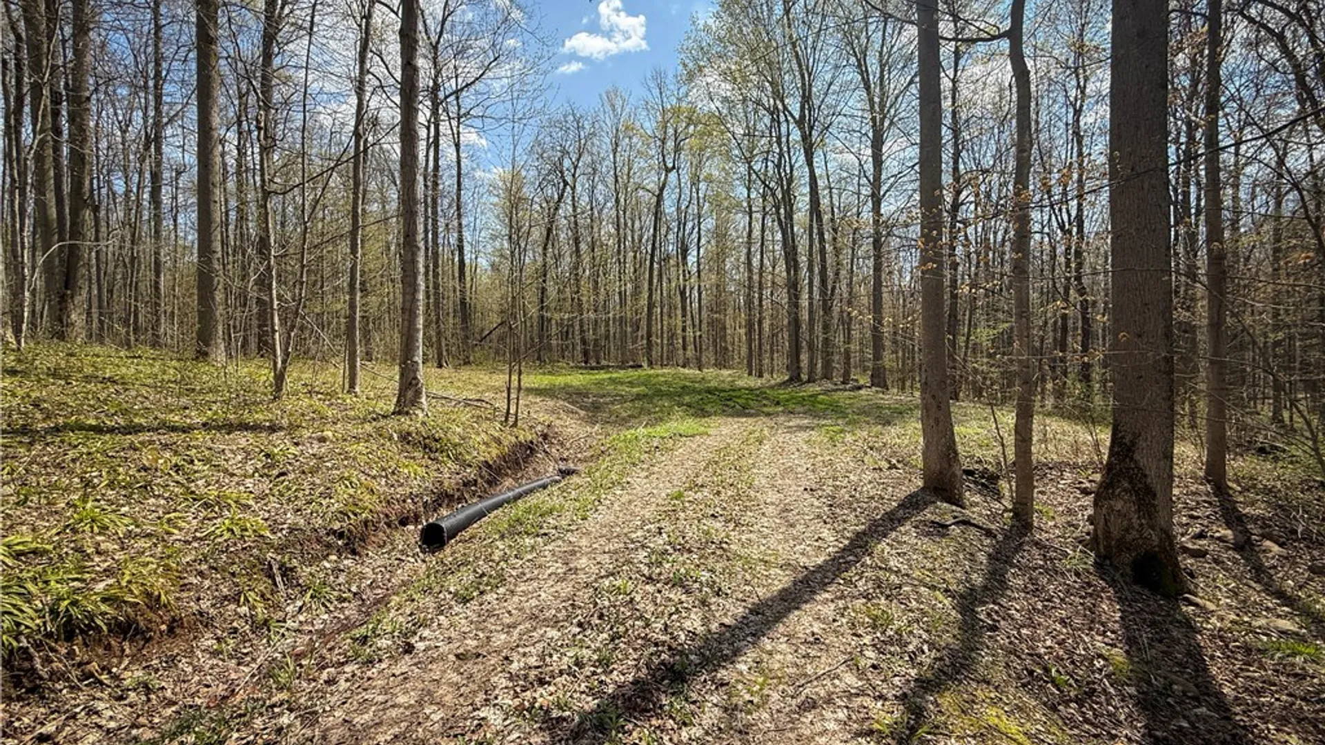 Property at Fintches Corners, Sterling, NY 13156 36