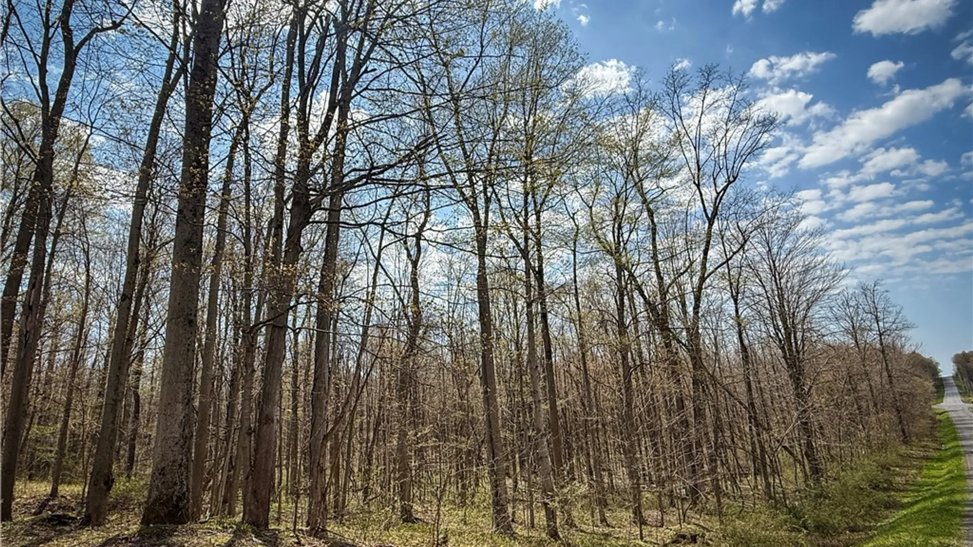 Property at Fintches Corners, Sterling, NY 13156 40