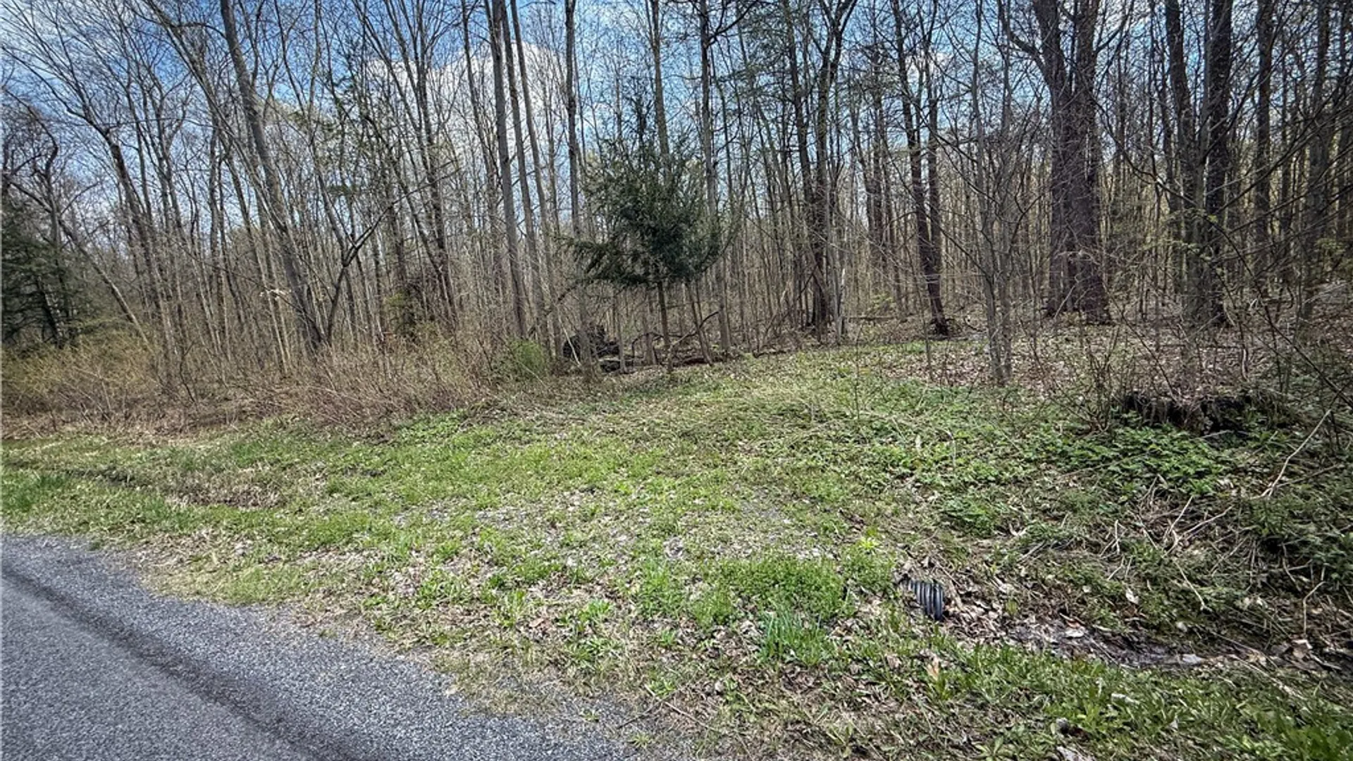 Property at Fintches Corners, Sterling, NY 13156 42