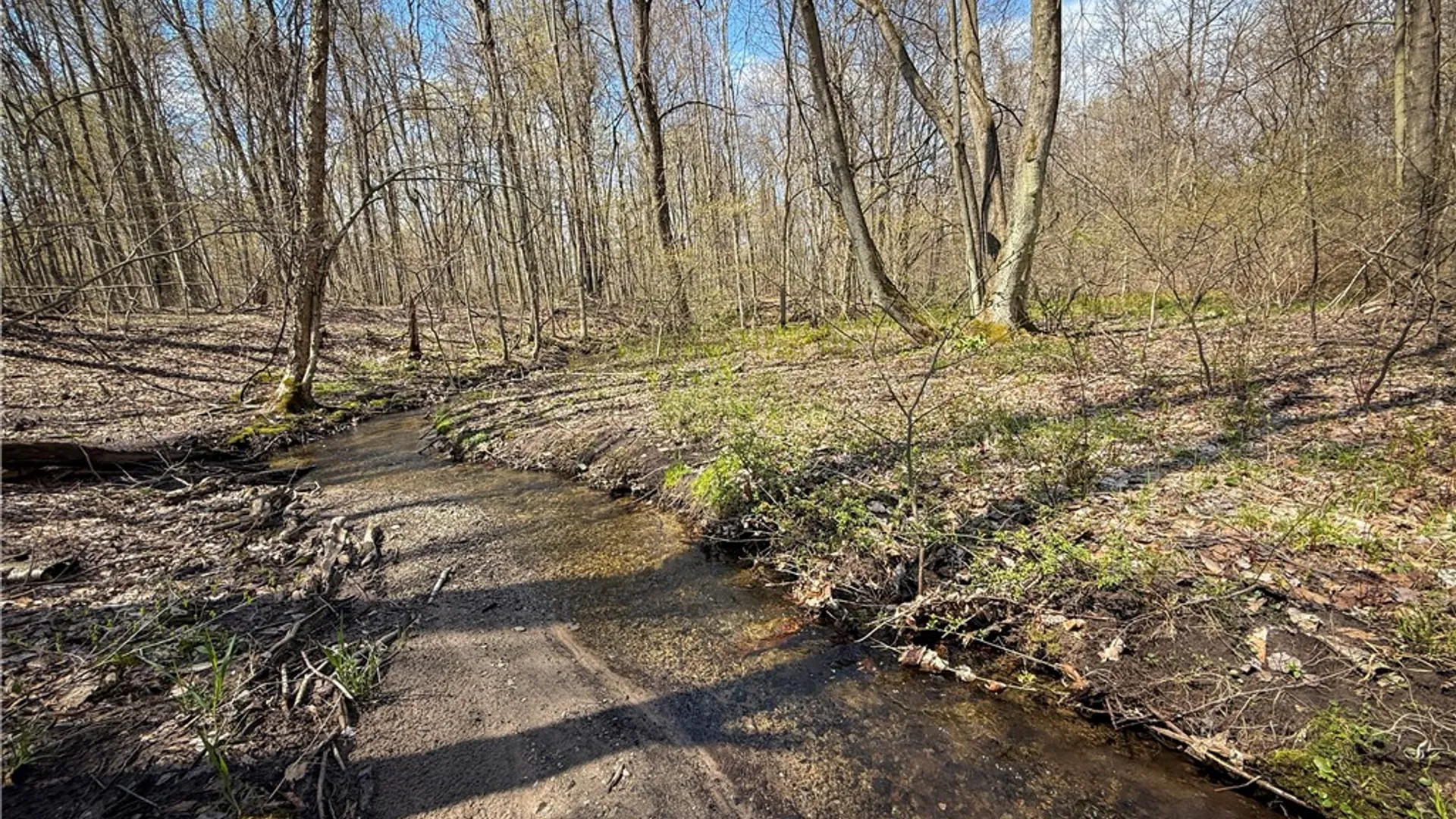 Property at Fintches Corners, Sterling, NY 13156 6