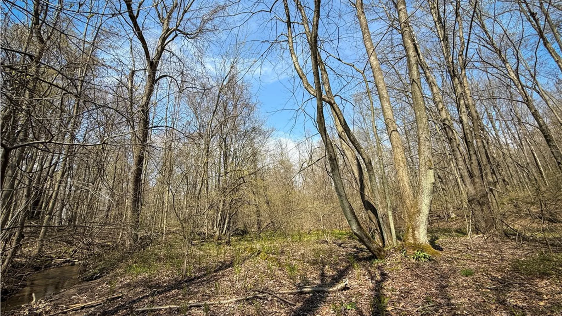 Property at Fintches Corners, Sterling, NY 13156 8