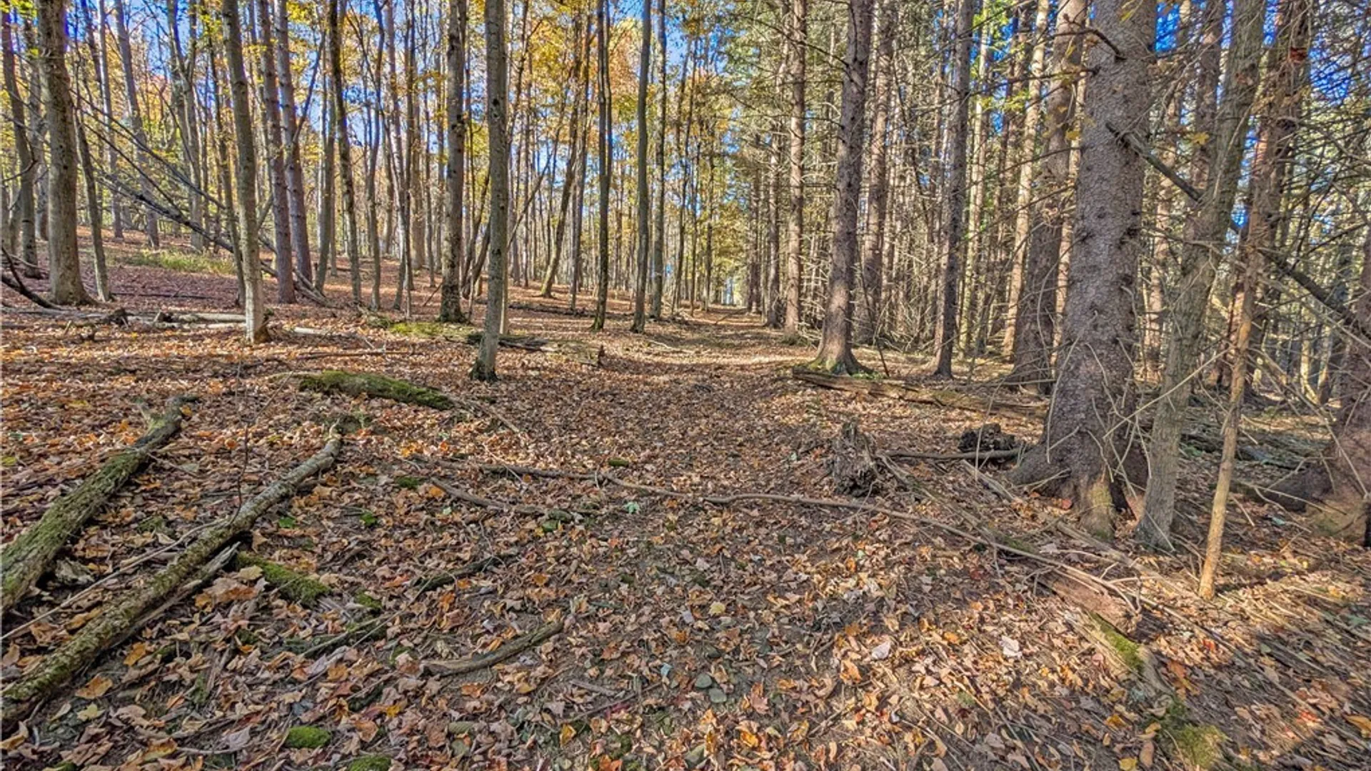 Property at 00 Pee Dee Road, Wethersfield, NY 14024 22