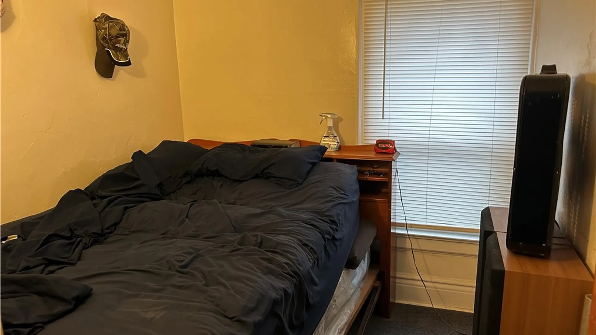 Property at 185 Carl Street, Buffalo, NY 14215 10