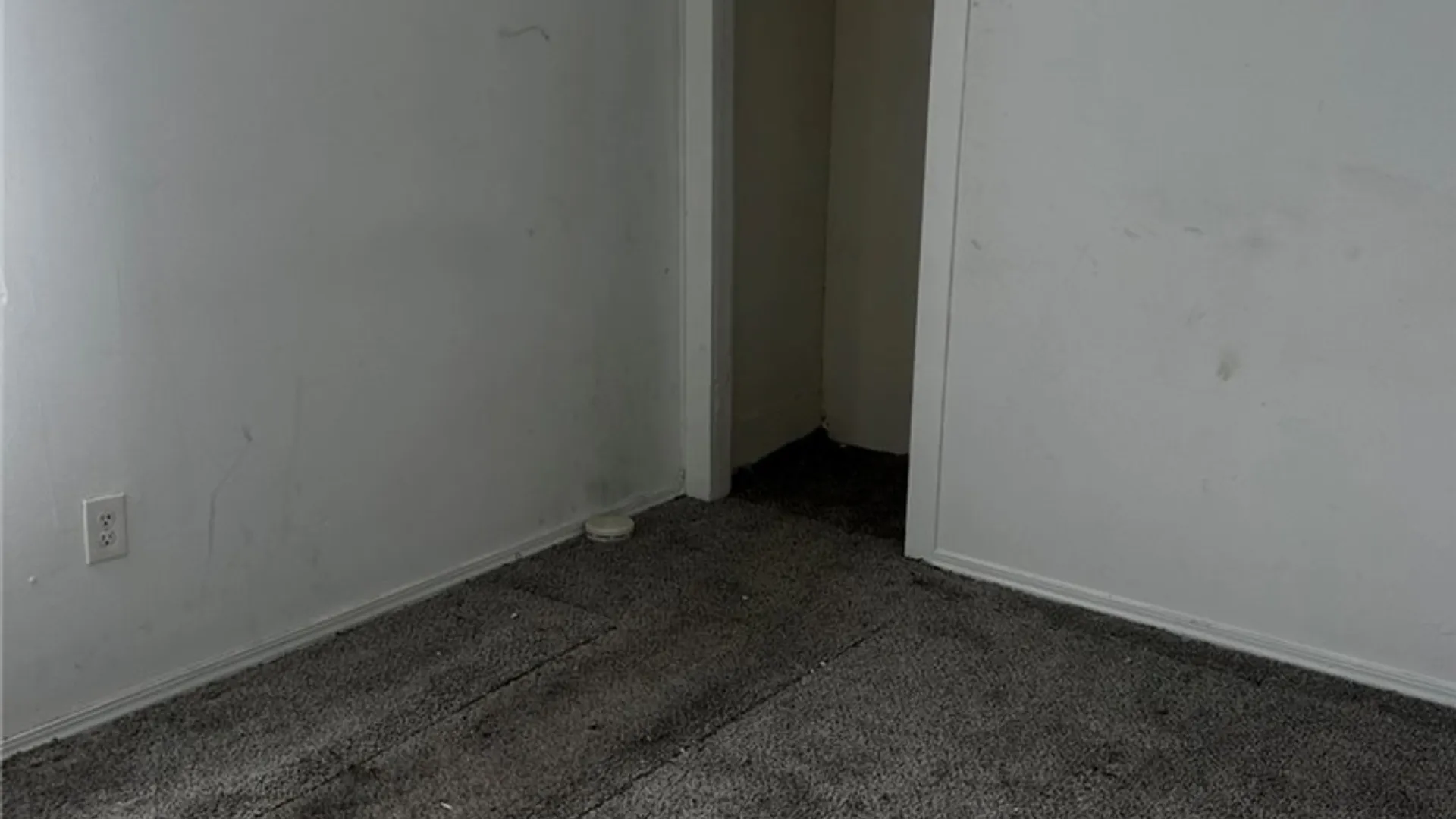 Property at 662 West Avenue, Buffalo, NY 14213 12