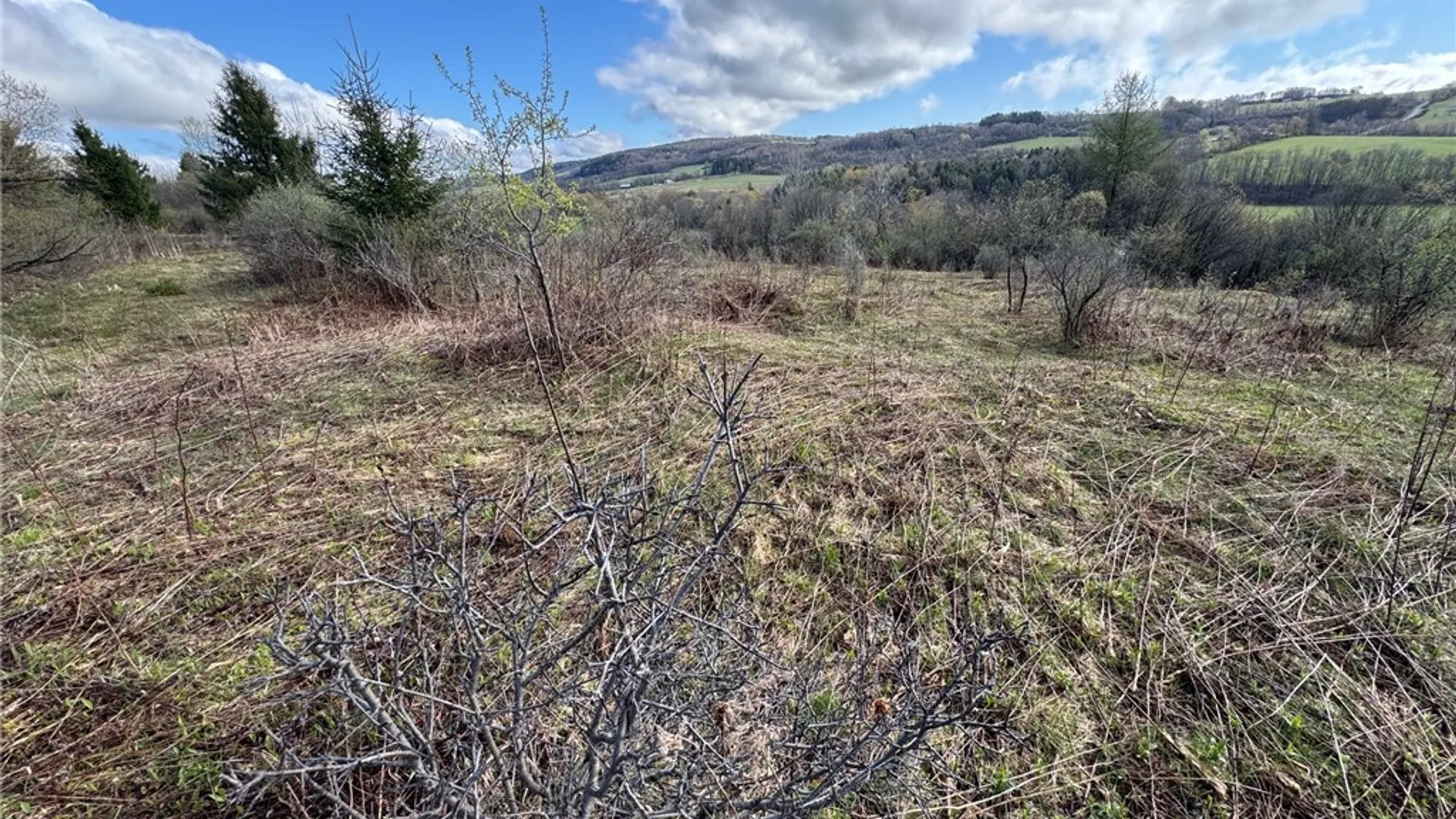 Property at 10233 Lamb Road, Brookfield, NY 13485 11