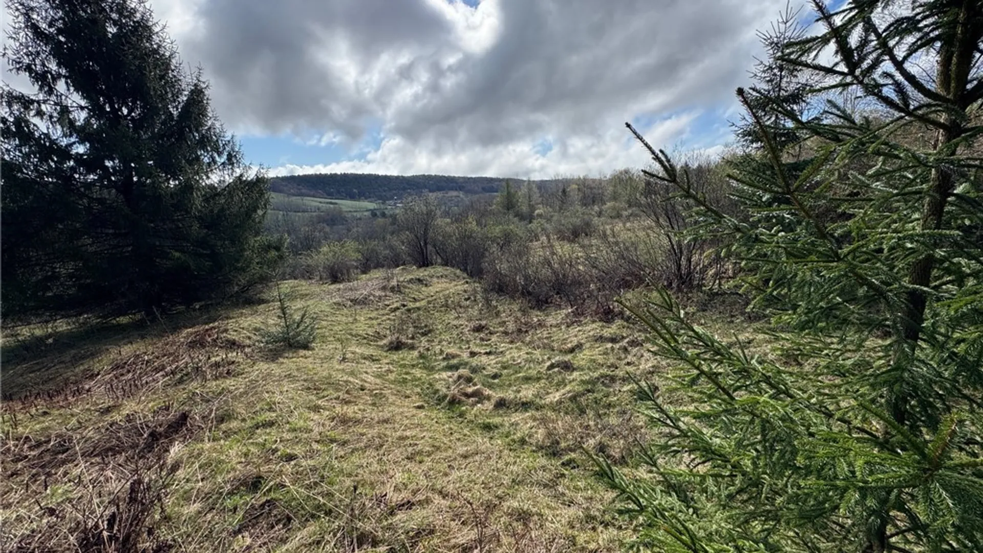 Property at 10233 Lamb Road, Brookfield, NY 13485 12