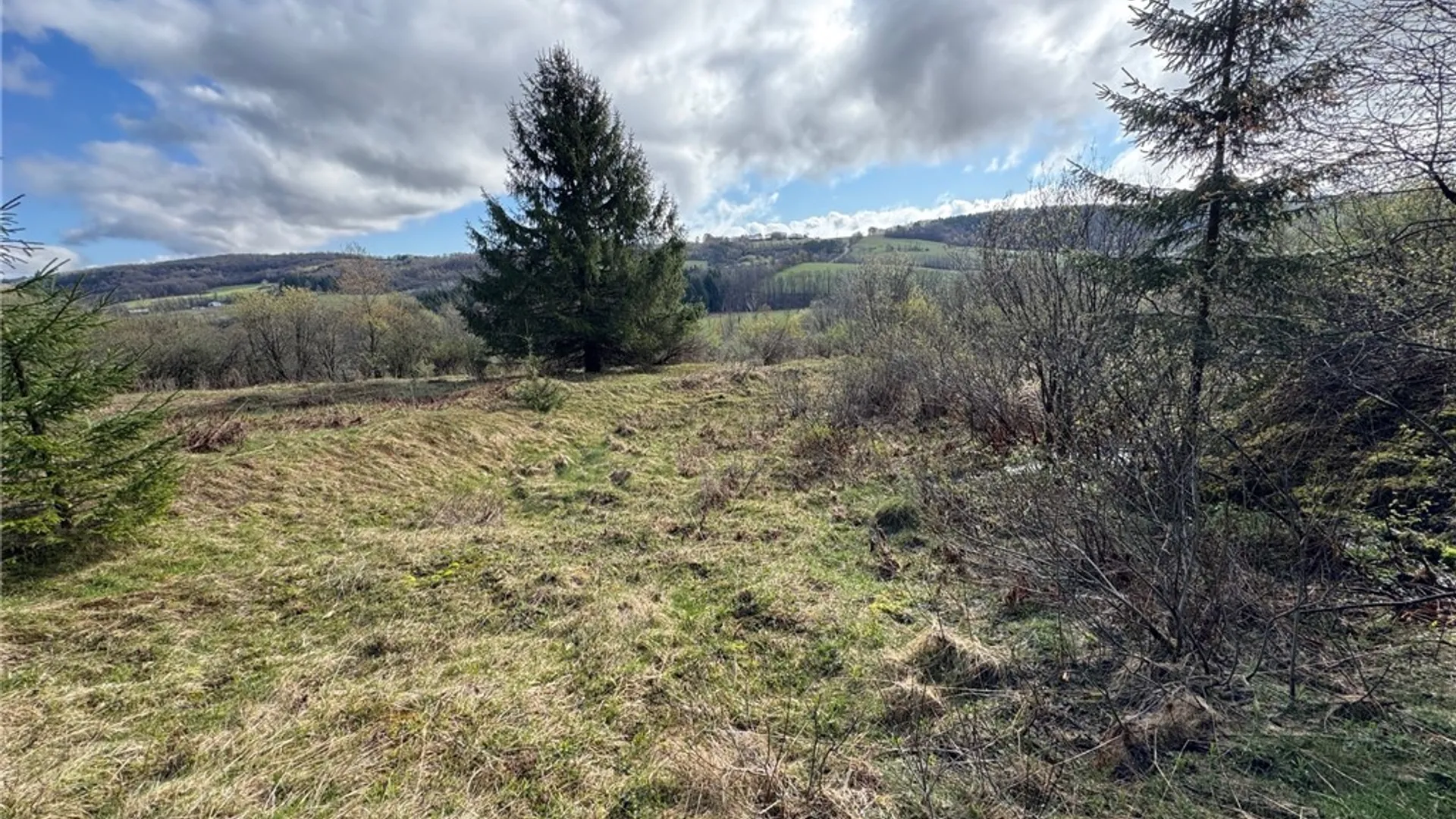 Property at 10233 Lamb Road, Brookfield, NY 13485 13