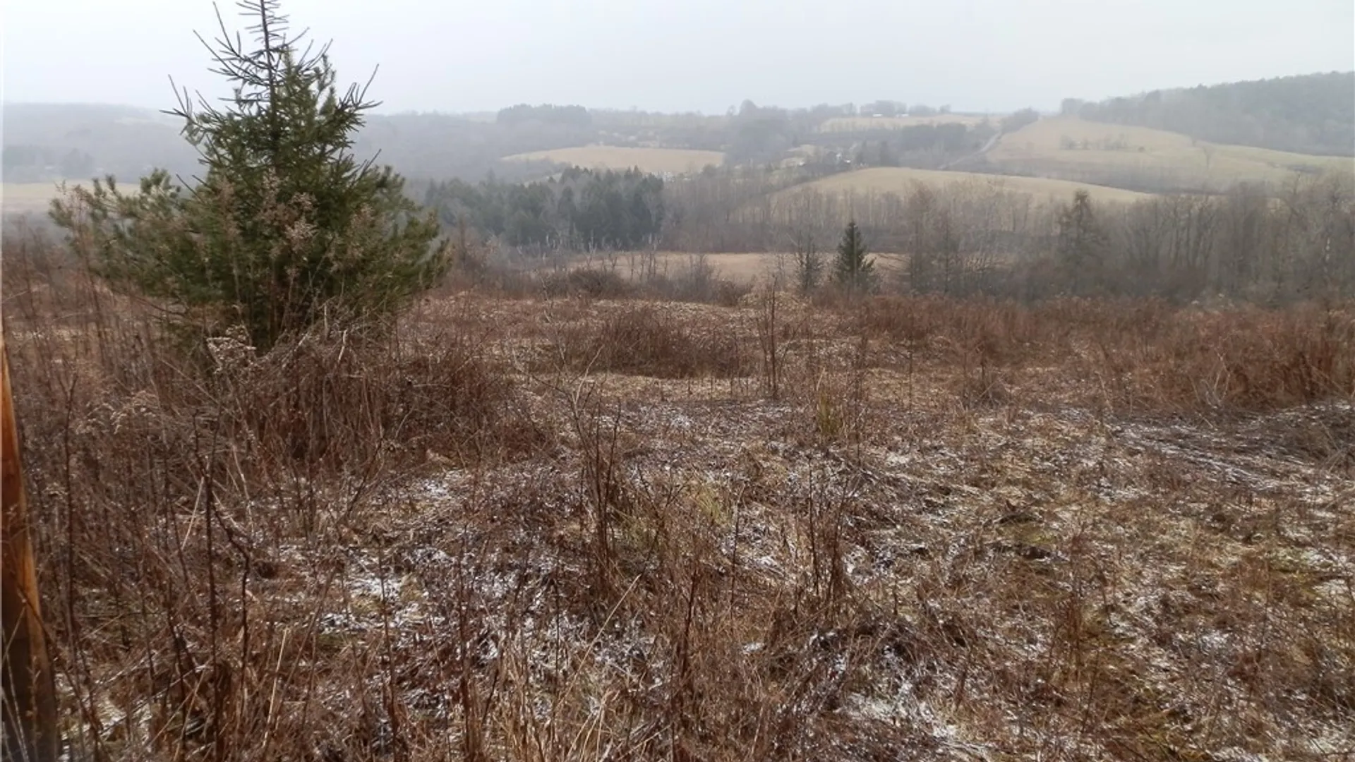 Property at 10233 Lamb Road, Brookfield, NY 13485 21