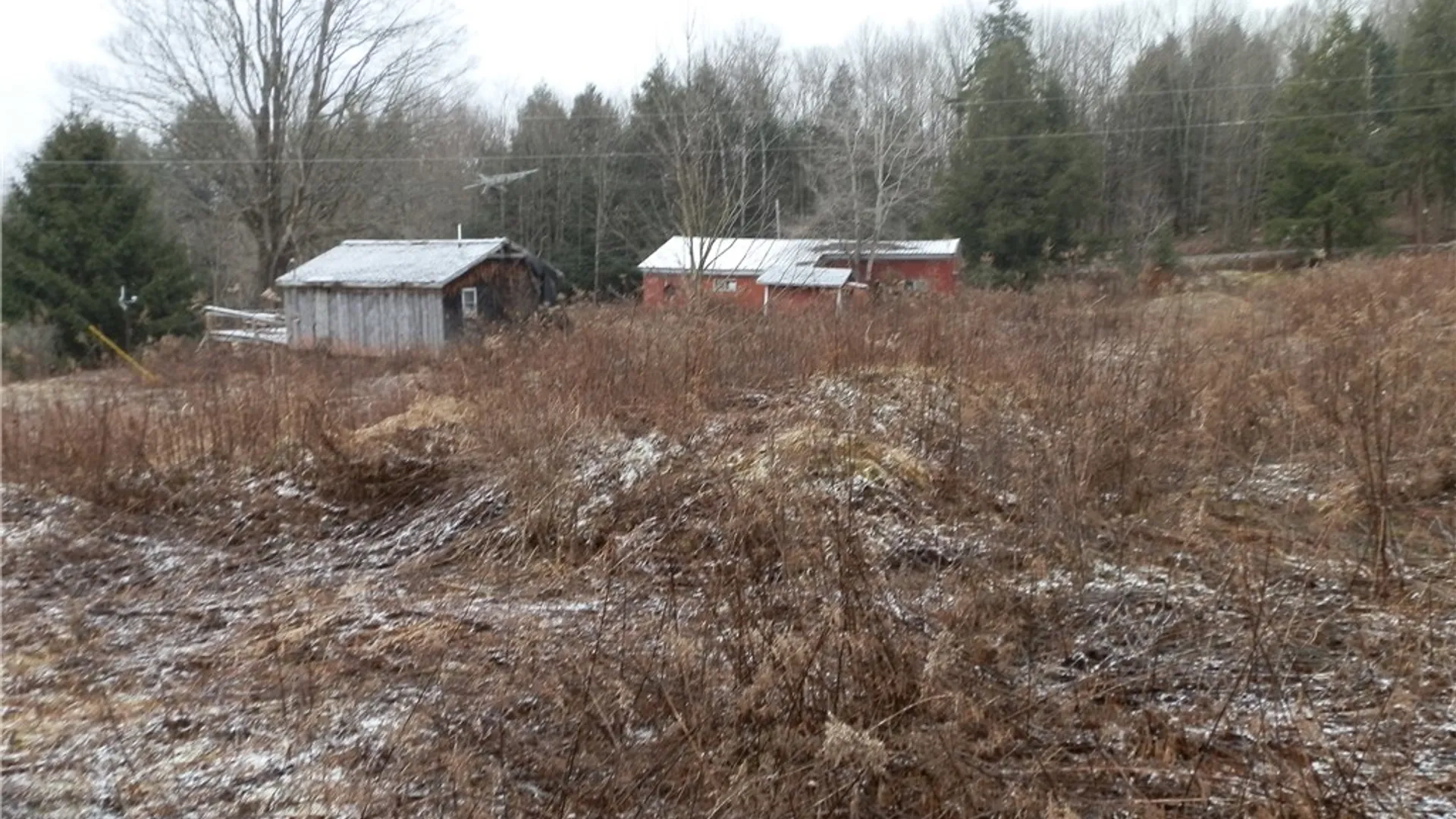 Property at 10233 Lamb Road, Brookfield, NY 13485 22