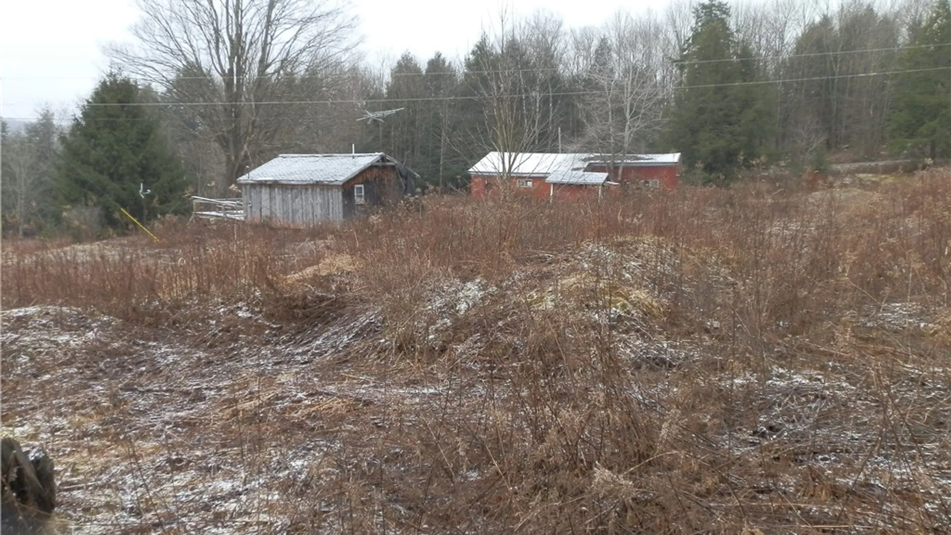 Property at 10233 Lamb Road, Brookfield, NY 13485 25