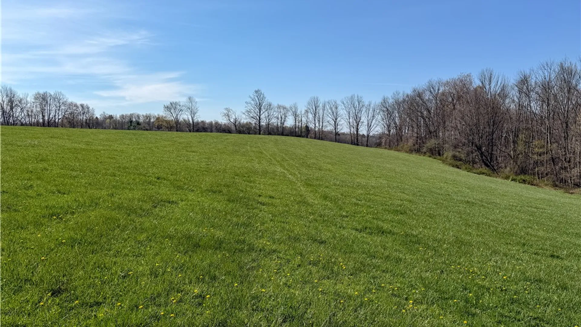 Property at 5974 Koy Road, Genesee Falls, NY 14536 46