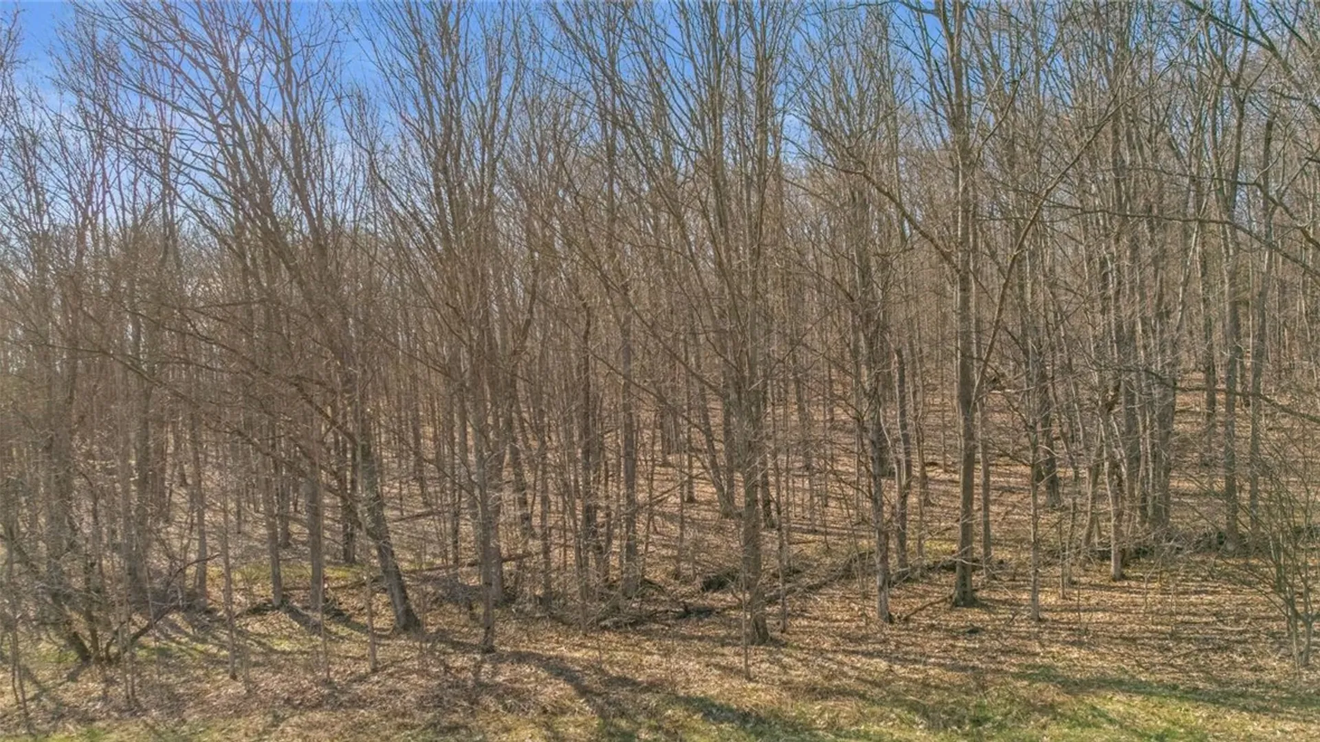 Property at L9.111 Lutheranville Road, Summit, NY 12064 20