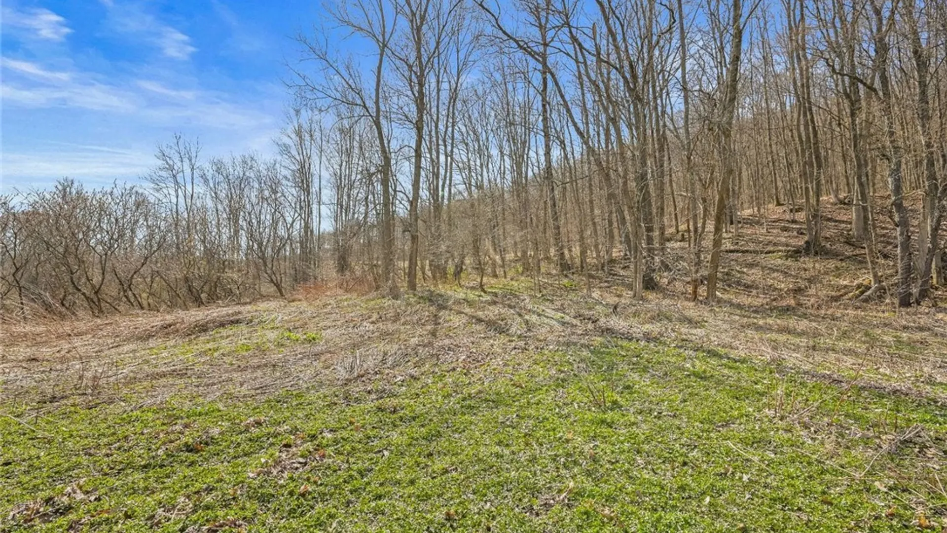 Property at L9.111 Lutheranville Road, Summit, NY 12064 5