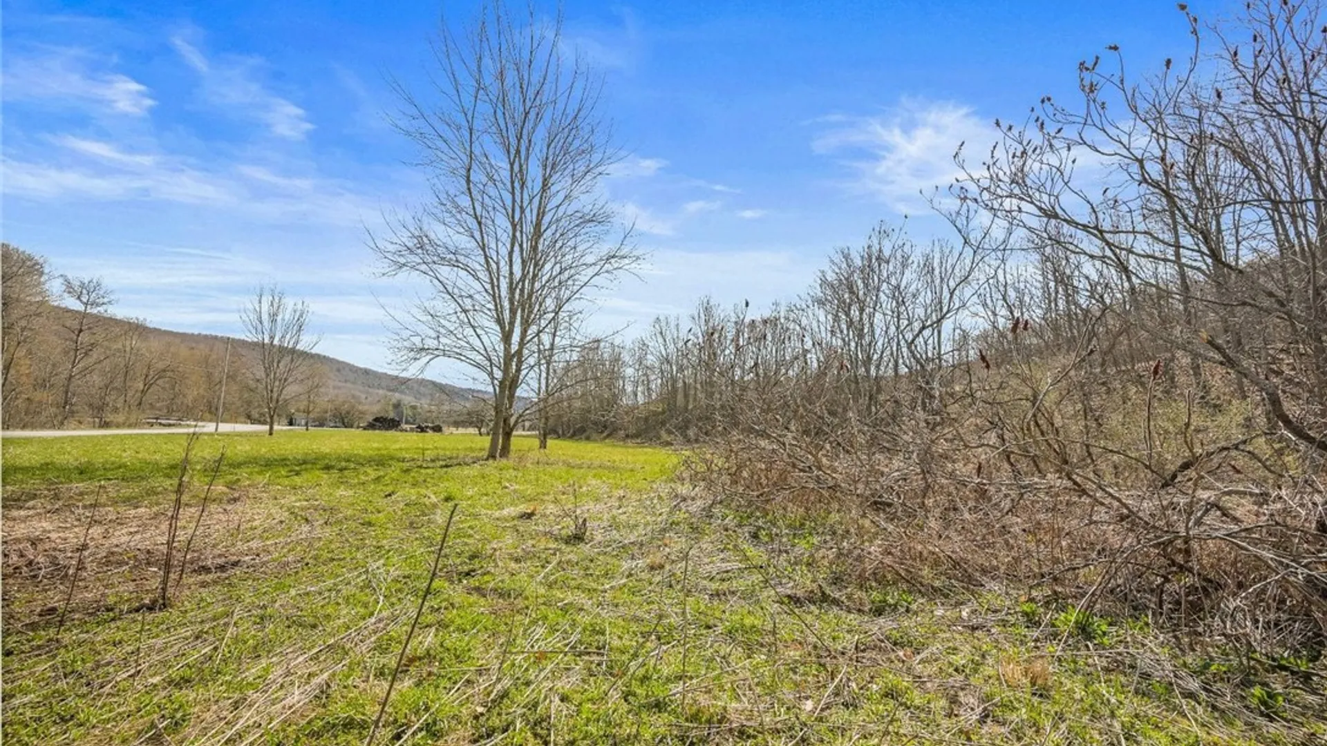 Property at L9.111 Lutheranville Road, Summit, NY 12064 8