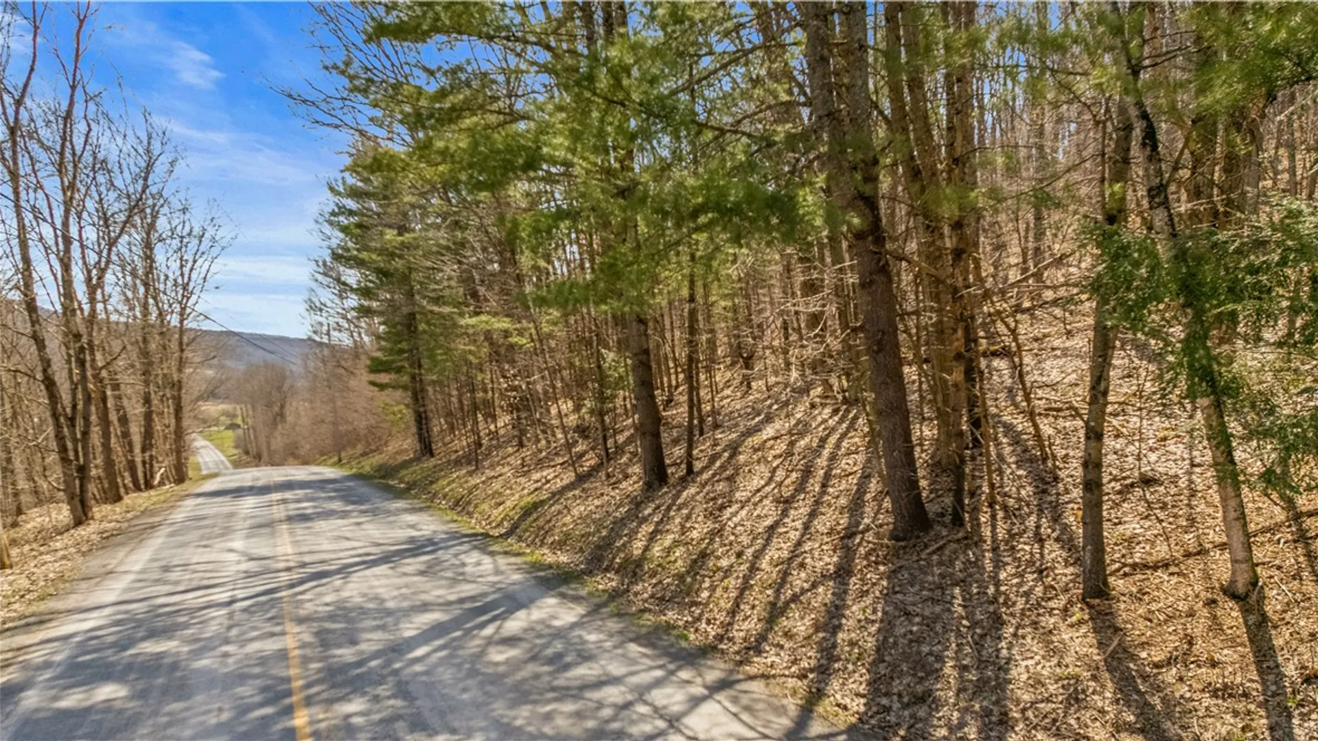 Property at L9.113 Lutheranville Road, Summit, NY 12064 3