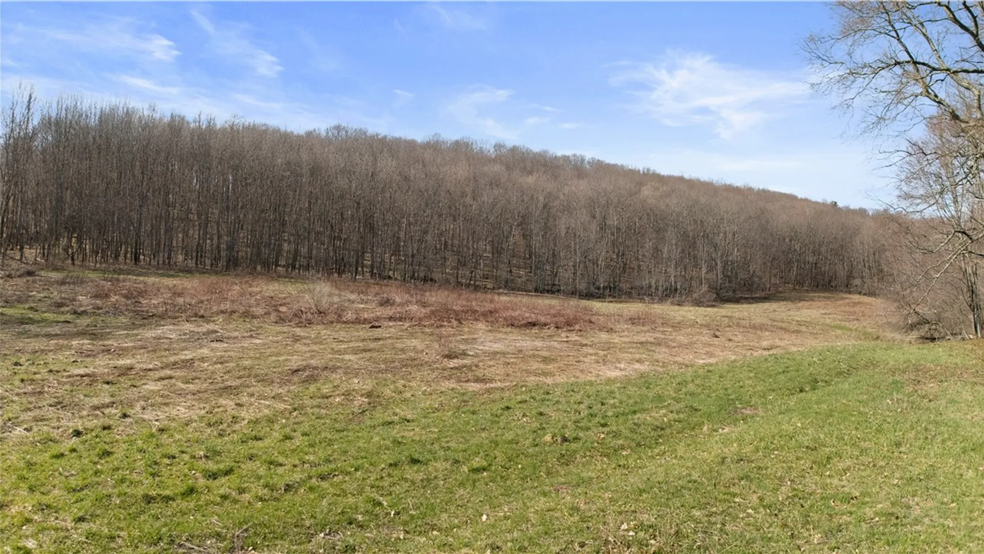 Property at L9.113 Lutheranville Road, Summit, NY 12064 6