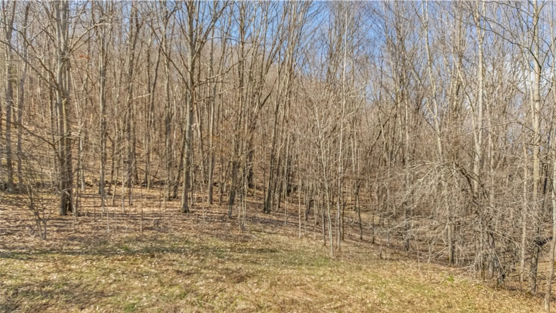 Property at L9.113 Lutheranville Road, Summit, NY 12064 8