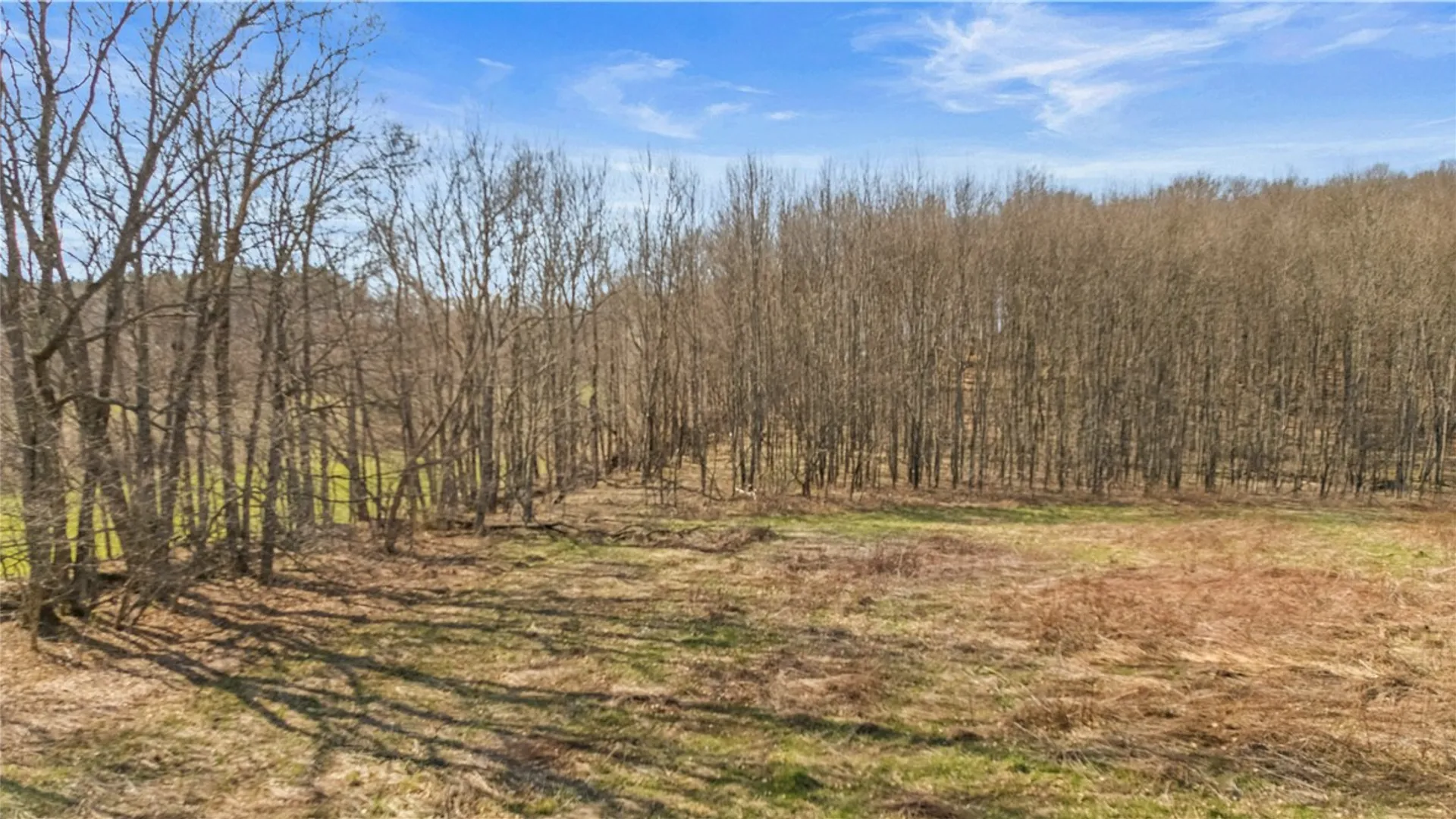 Property at L9.113 Lutheranville Road, Summit, NY 12064 9