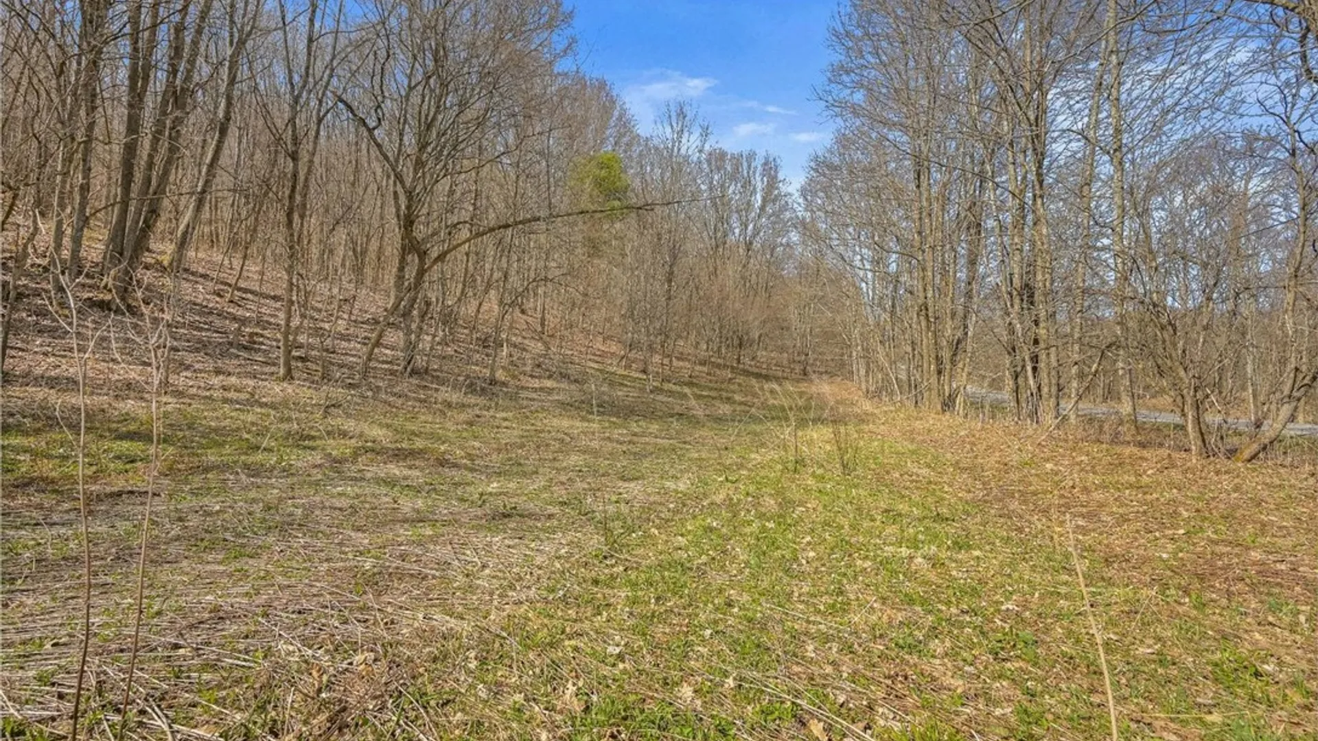Property at L9.112 Lutheranville Road, Summit, NY 12064 2