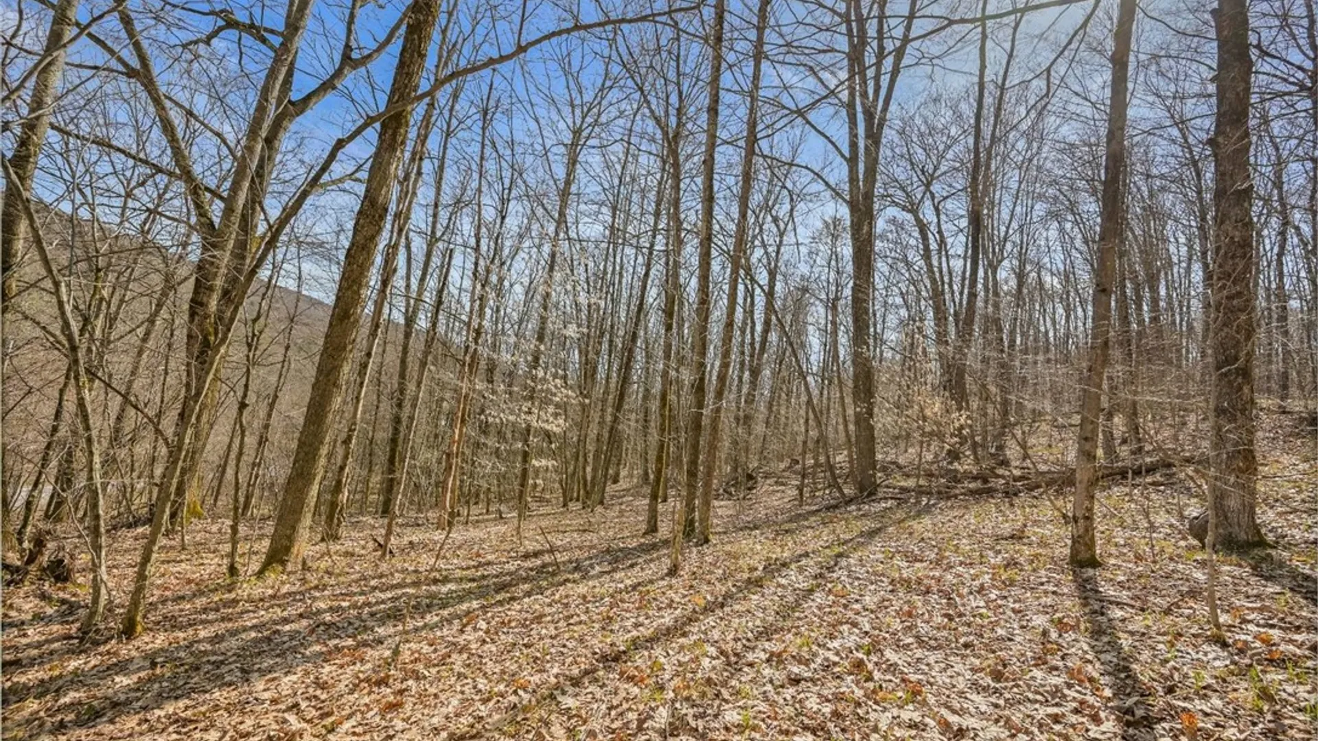 Property at L9.112 Lutheranville Road, Summit, NY 12064 6