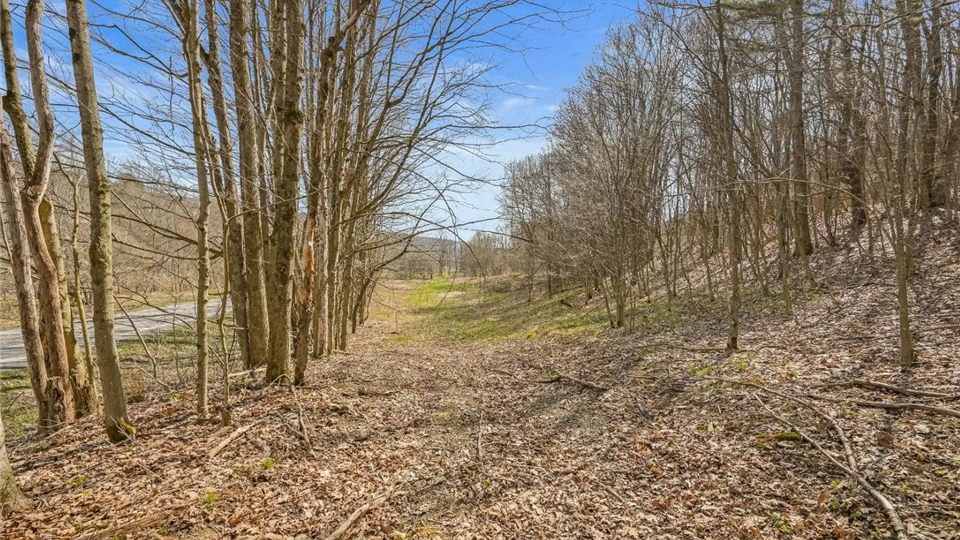 Property at L9.112 Lutheranville Road, Summit, NY 12064 7