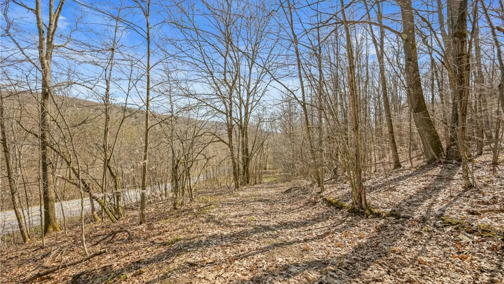 Property at L9.112 Lutheranville Road, Summit, NY 12064 8