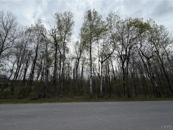 Property at 0 Farney Pit Rd, Champion, NY 13619