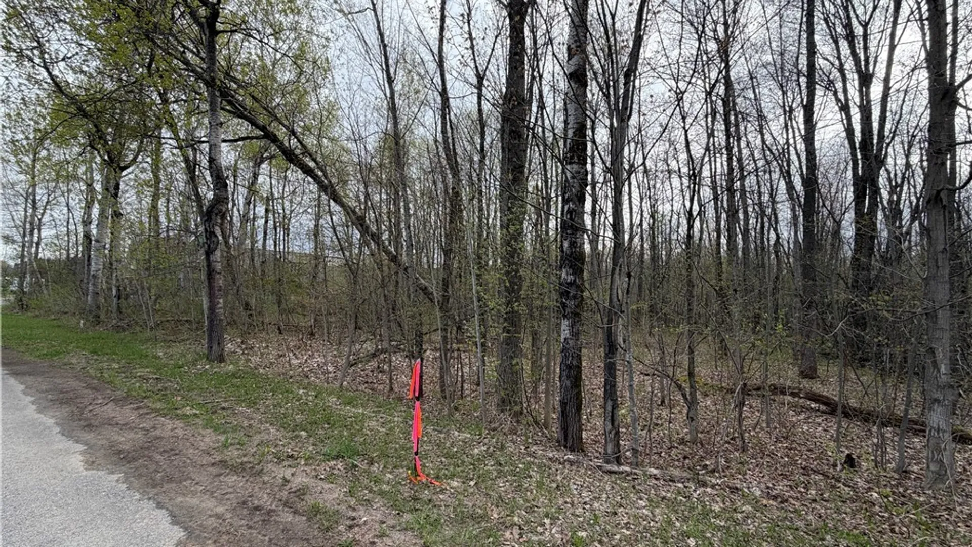 Property at 0 Farney Pit Rd, Champion, NY 13619 4