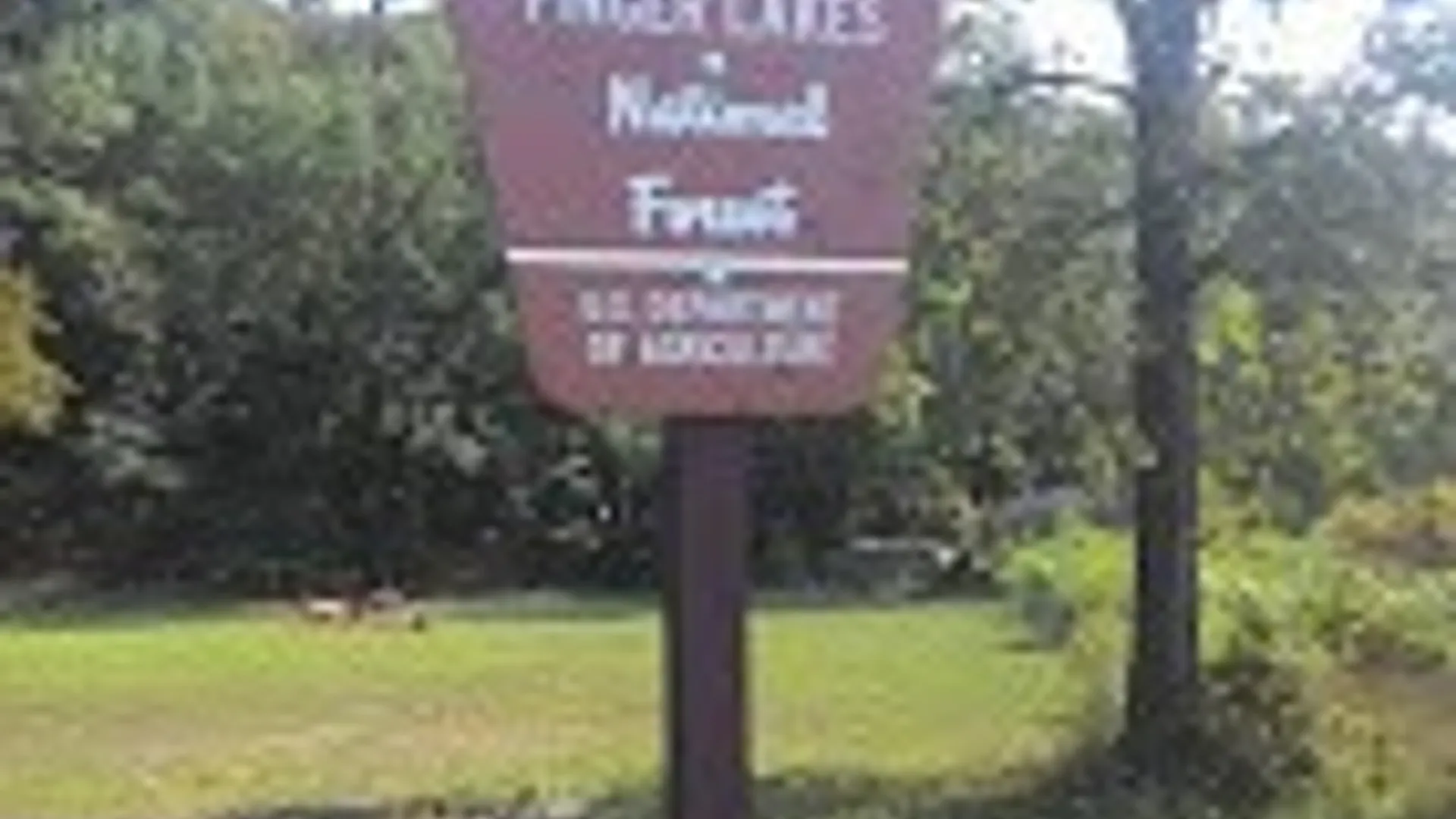 Property at Parcel 2  9750 Route 414, Lodi, NY 14860 10