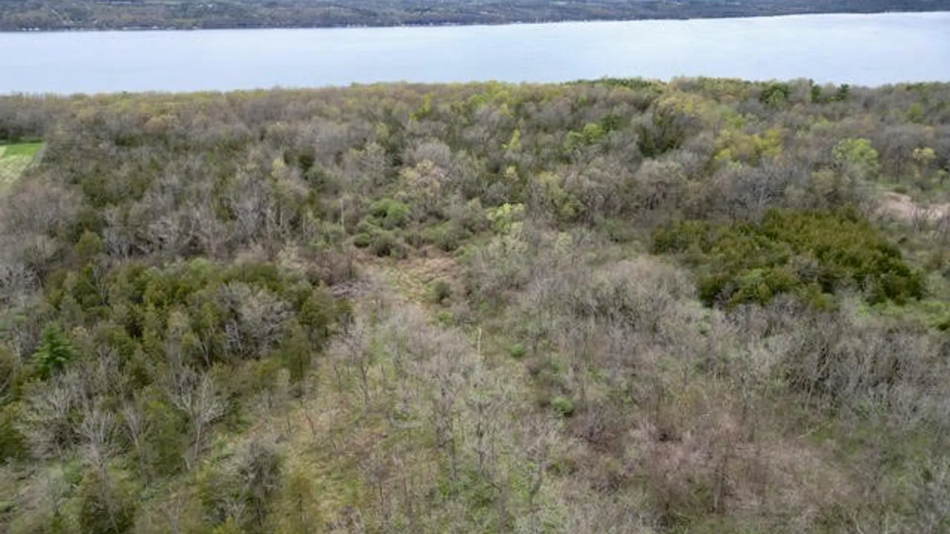 Property at Parcel 2  9750 Route 414, Lodi, NY 14860 2