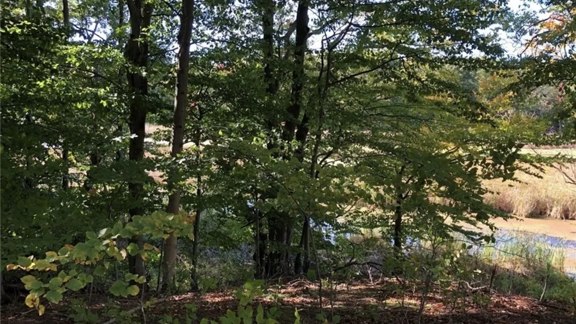 Property at 15113 Creek Road, Sterling, NY 13156 2