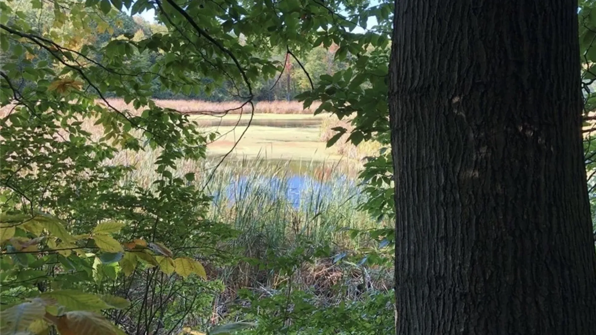 Property at 15113 Creek Road, Sterling, NY 13156 4