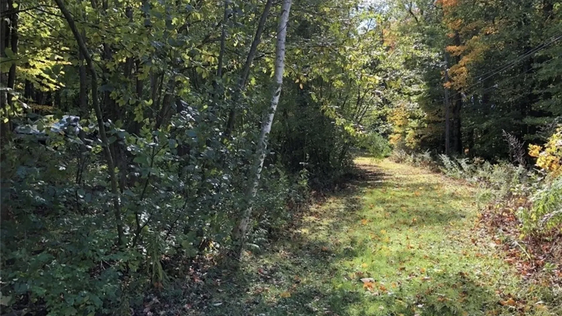Property at 15113 Creek Road, Sterling, NY 13156 5