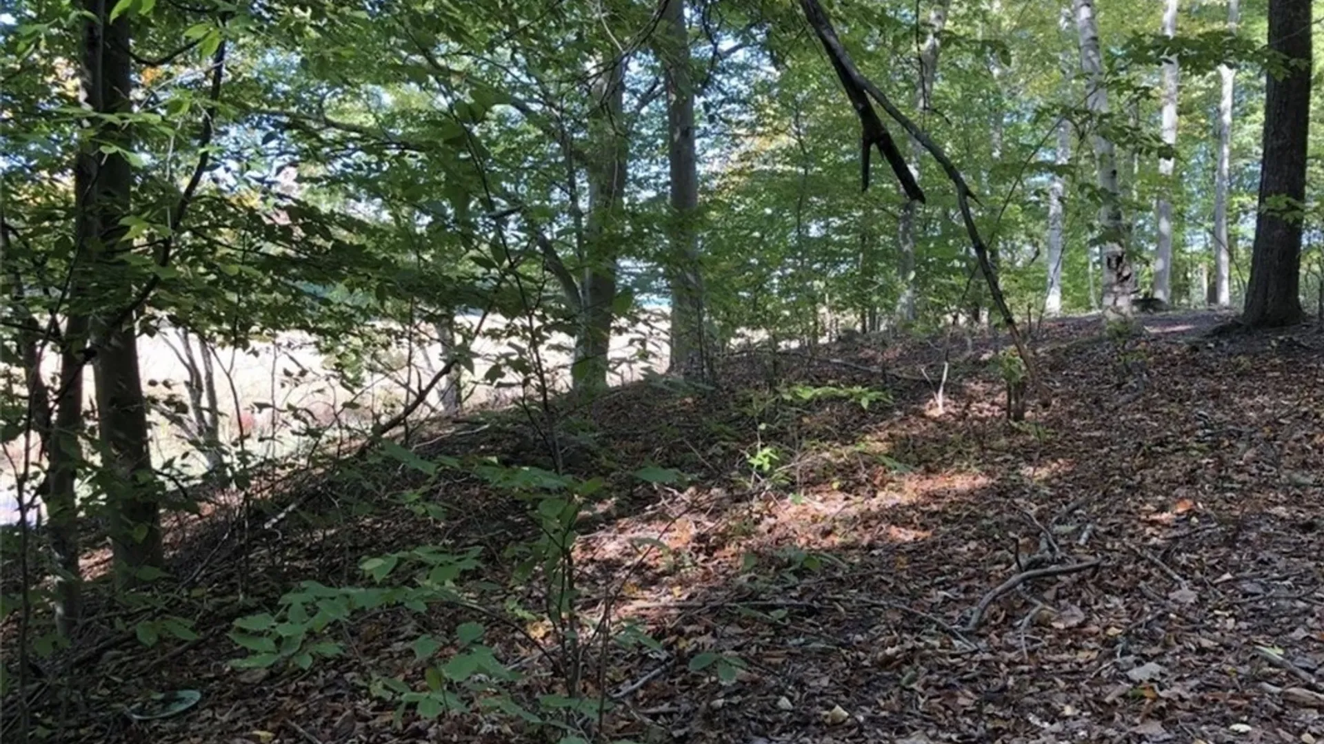 Property at 15113 Creek Road, Sterling, NY 13156 7