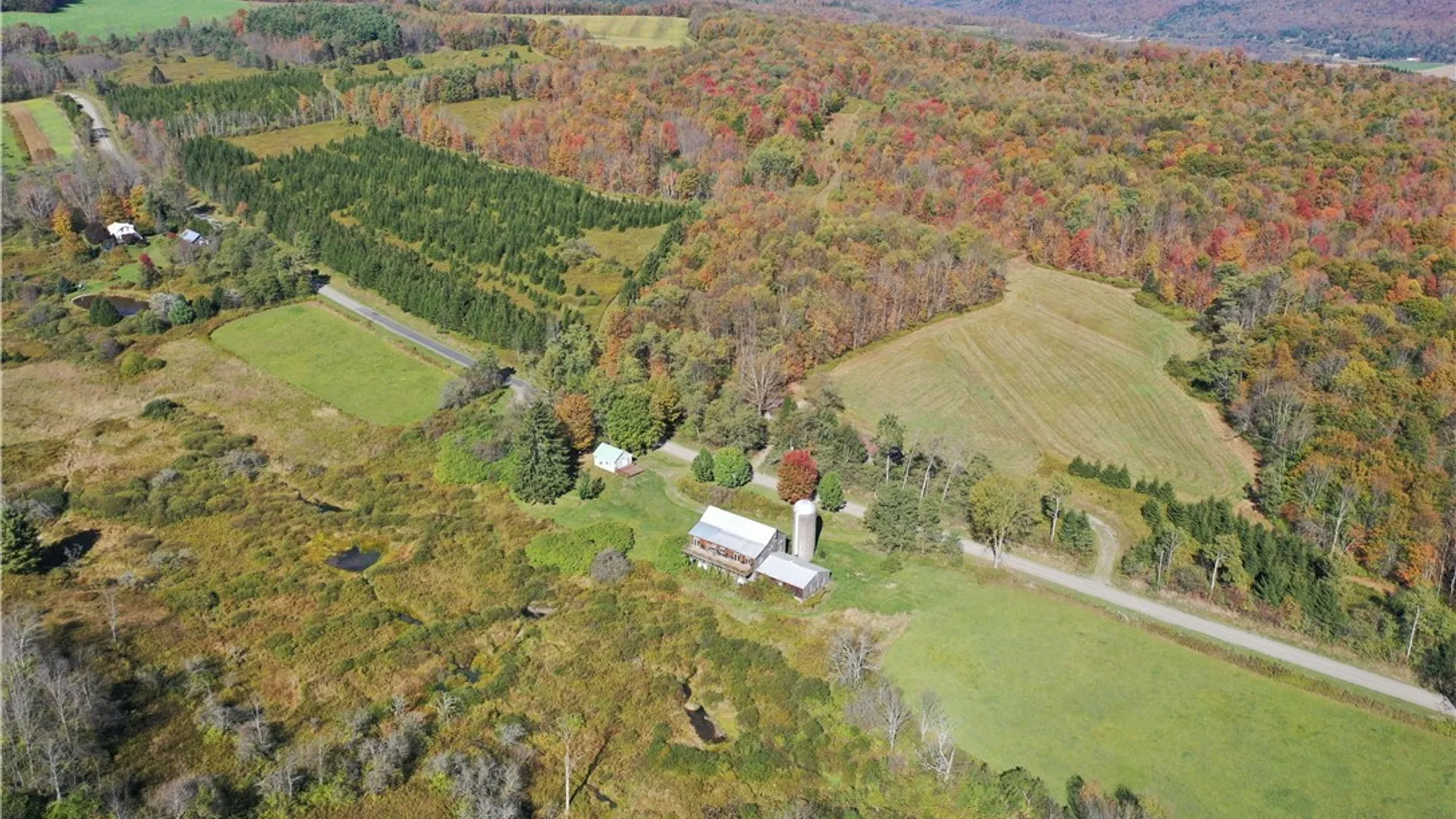 Property at 4555 Elwood Road, Taylor, NY 13040 47